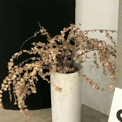 会泽FurryQQ群介绍